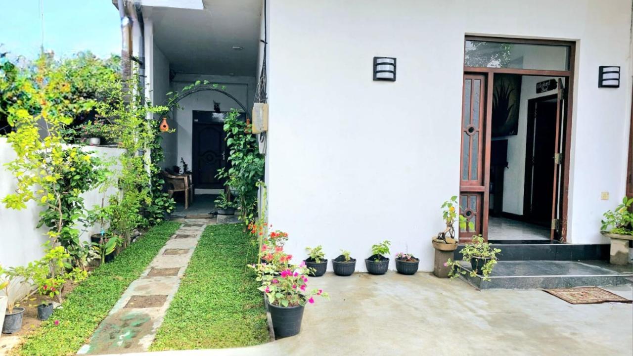 Aloe Vera Villa Negombo Exteriör bild