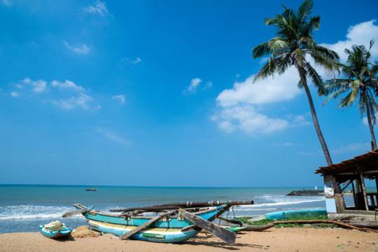 Aloe Vera Villa Negombo Exteriör bild