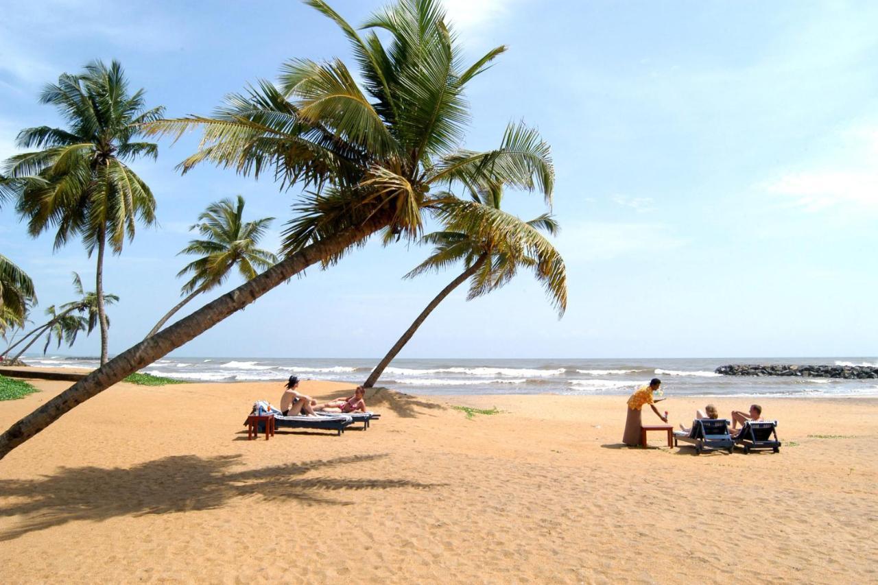 Aloe Vera Villa Negombo Exteriör bild