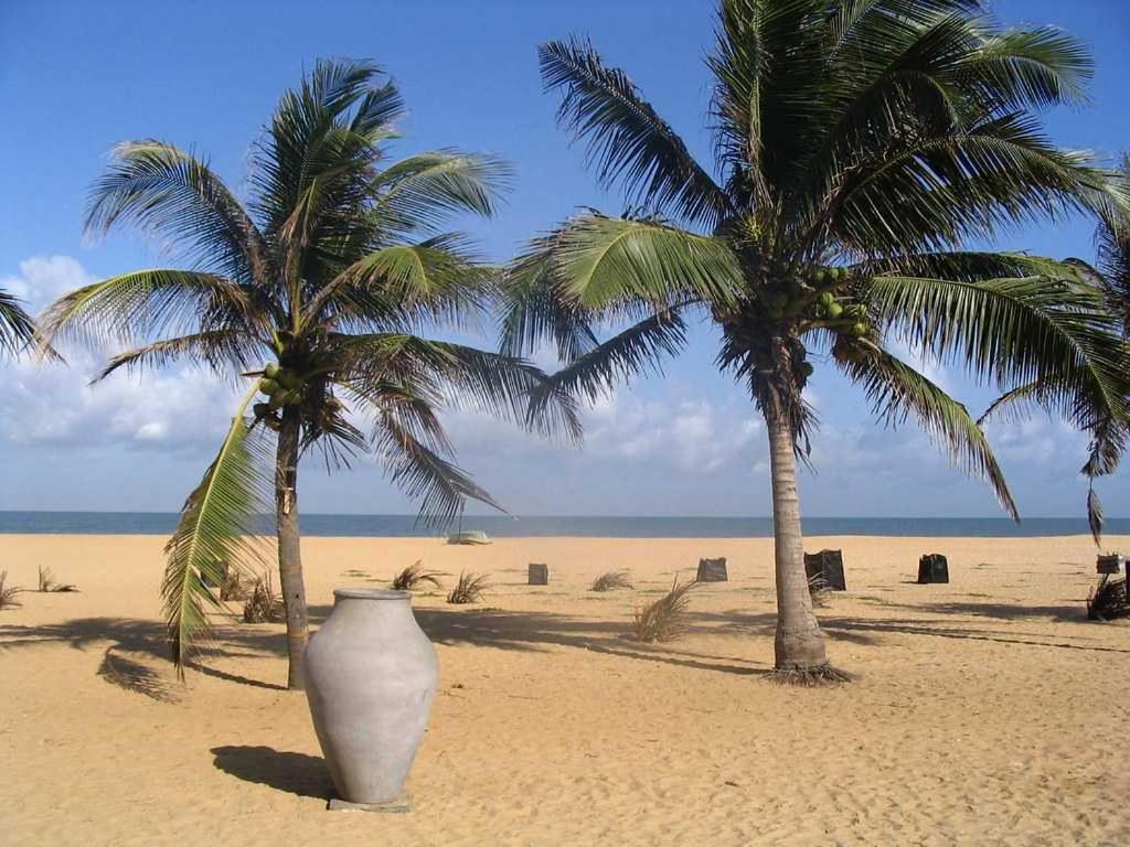 Aloe Vera Villa Negombo Exteriör bild
